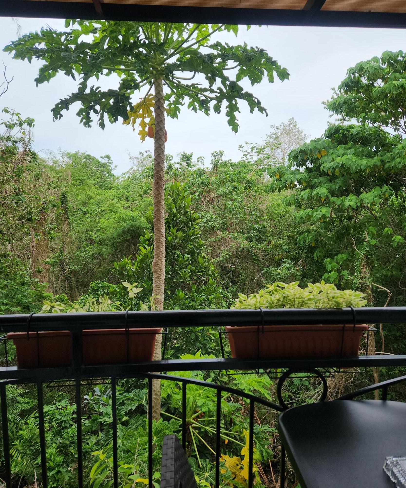 Condo Azur Suites B316 Near Airport, Netflix, Stylish, Cozy With Swimming Pool マクタン エクステリア 写真